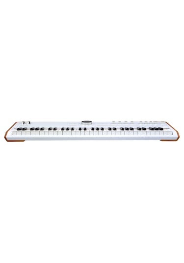Astrolab 61 Tuş Stage/studio Keyboard