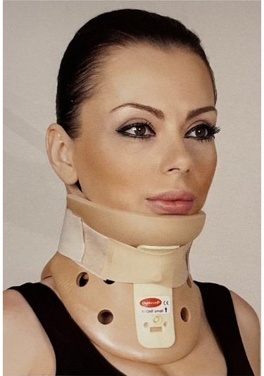 Philadelphia Boyunluk Large