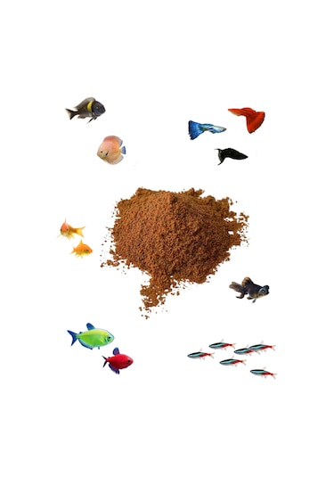 Yavru Balık Büyütme Yemi, Protein, Spirulina Artemialı 250 Gram