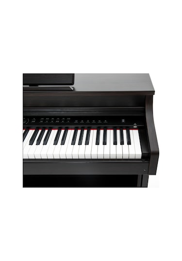 Capella Cp350 Rosewood Dijital Piyano