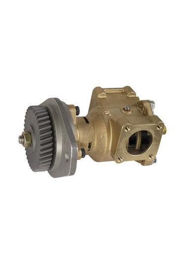 Jpr-S7630 Deniz Suyu Pompası Cummins 3964765 Sherwood P1731