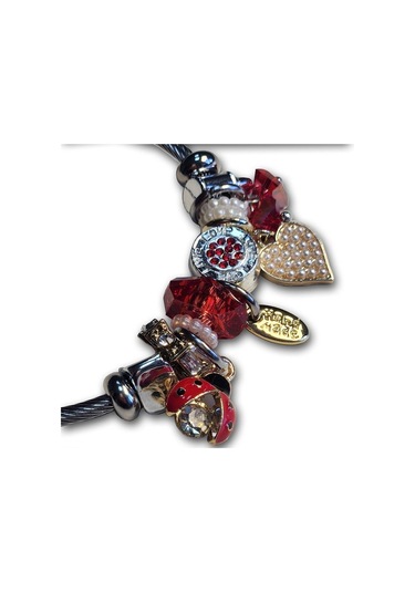 Uzel Çelik Gümüş Silver Model Inci Kalpli, Uğur Böceği Charmlı Çelik Bileklik Kırmızı