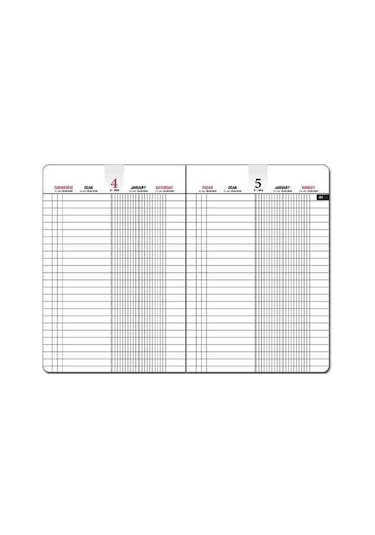 Gıpta 2026 Ticari Ajanda Günlük Kasa Ajandası 17x24 Cm 112-ekk Gri Gri