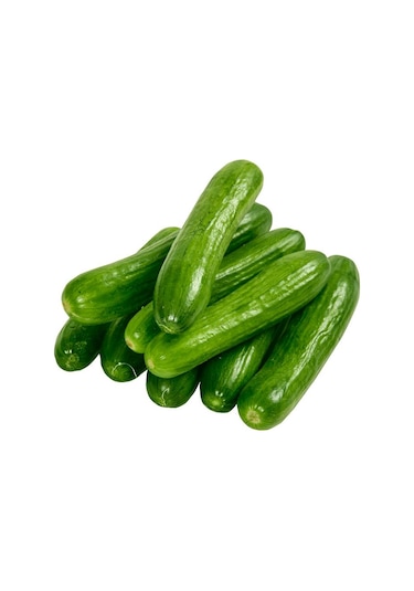 Çengelköy Hıyar Tohumu 100 Adet