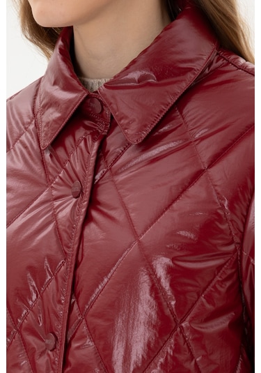 U.s. Polo Assn. Kadın Bordo Mont 50312102-vr014 Bordo