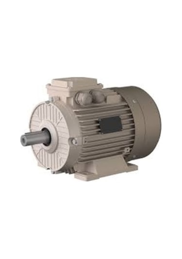 Omega Motor 0.75 Kw, 1500 Devir, B3 Ayaklı