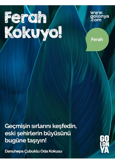 Golonya Danuhepa Çubuklu Oda Kokusu 120 ML