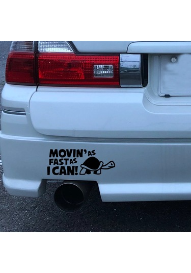 Yansıtıcı Hareket Mümkün Olduğunca Hızlı Hayvan Araba Çizgi/çizik Kapağı Yaratıcı Black 1 Piece Set