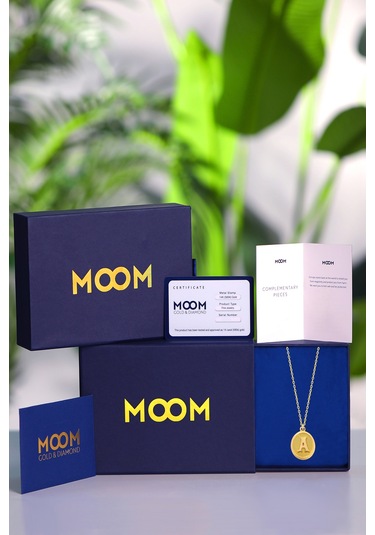 Moom Mücevherat Kadın 14 Ayar Altın Harf Kolye Nostaljik Oval A Harfi Altın Kolye Zincirli 42 Cm