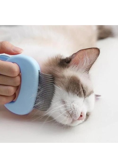 Kedi Tasarımı İle Evcil Hayvan Tarak - Mavi