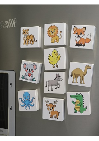 Efe'nin Hayvanat Bahçesi Seri-2 / Manyetik Eğitici Oyuncak