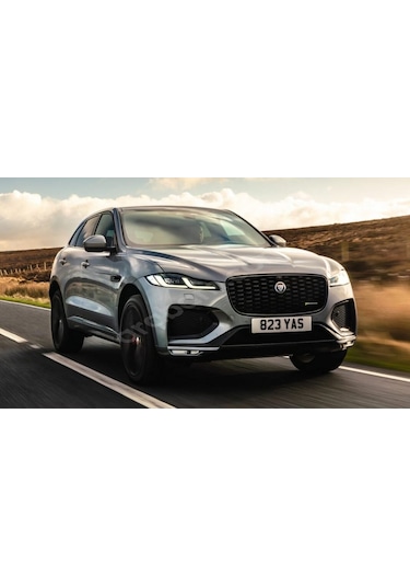 Jaguar Xe Ön Panjur Izgara Panter 3M 3D Logo 100Mm