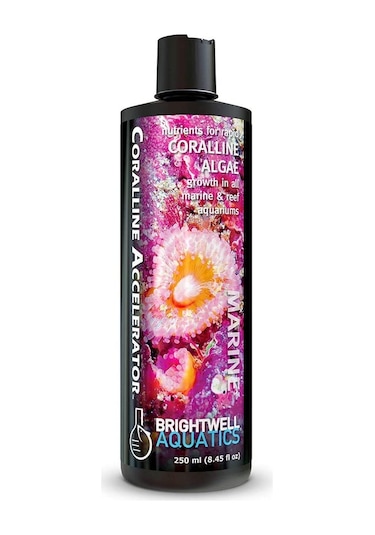 Brightwell Coralline Accelerator Koralin Alg  250 ML