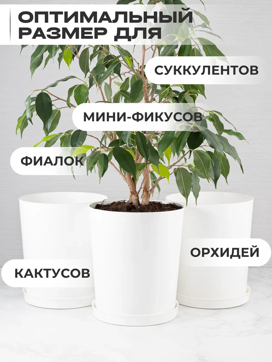 Onest Çiçek Saksısı Seti 3 Parça 306575754