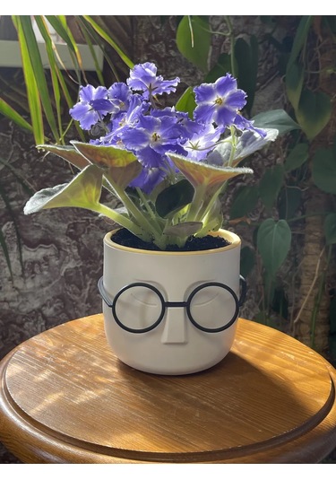 Saburg Çiçek Saksısı 0,65 Litre Saksı Seti 2 Adet Otomatik Sulama Saksı 138199335