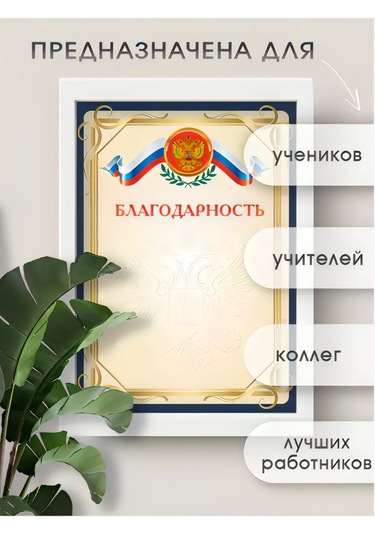 Pro Bel Arma Takım 100 Adet Şükran Belkisi Seti 360624067