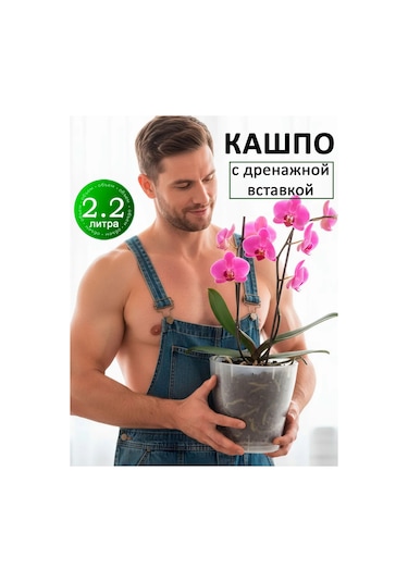 Al' Ternatıva Leia Orkide Saksısı 2,2 L, Drenajlı 13195594