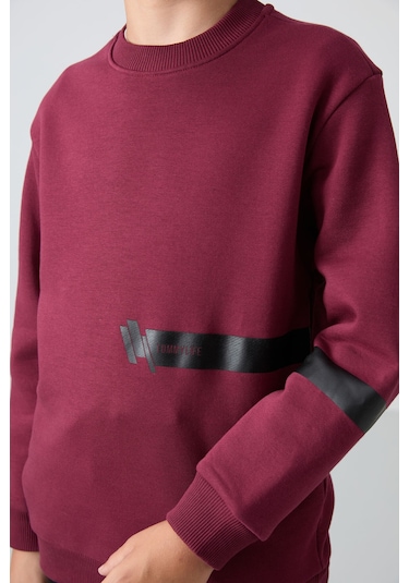 Erguvan Pamuklu Kalın İçi Tüylü Yumuşak Dokulu Standart Fit Baskılı Erkek Çocuk Sweatshirt - 11238 Mor