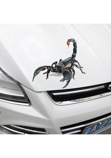 Geekyou Dayanıklı A18 Akrep Modeli Araba Sticker - Gerçekçi Simülasyonlu Hayvan Desenli Araba Dekorasyon Sticker, Kolay Kullanıma Uygun, Kompakt Ve Dayanıklı Malzeme İle Yapılmış