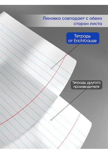Erichkrause Duotone Next 24 Yaprak Çizgili Defter 10 Adet 57968500