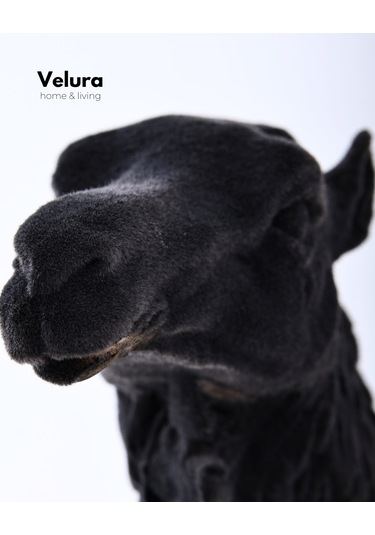 Aykam Siyah Deve Biblo & Heykel & Büst & Figür