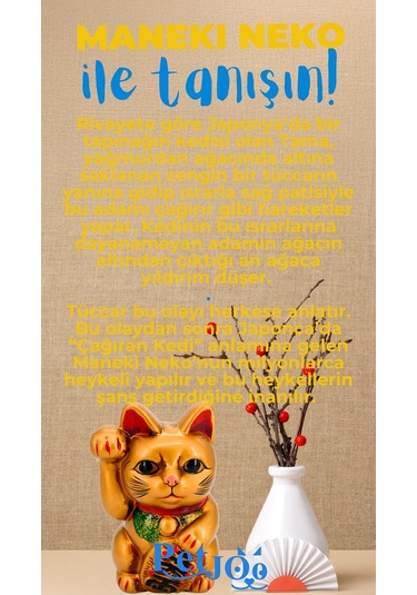 Petjoo 4.Maneki Neko Mavi-Sarı Qr'lı Kedi Künyesi