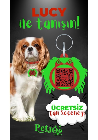 Petjoo 11.Lucy Yeşil-Kırmızı Qr'lı Köpek Künyesi