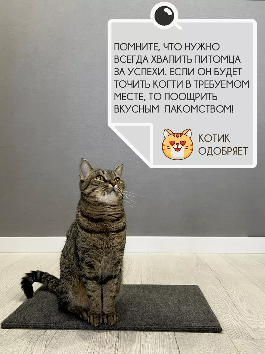 Mighty Cats Kedi Tırmalama Tahtası Yer Yatağı 223263715