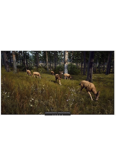 THQ Nordic Way Of The Hunter PS5