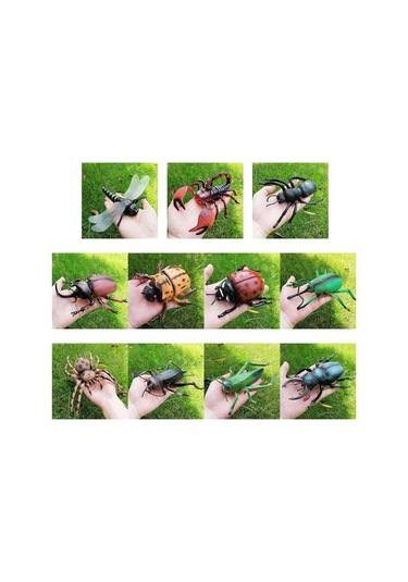 Tenfowee Çocuklar İçin Eğitici Bilgi Verici Böcek Modeli Oyuncak, Fen Ve Doğa Tanıma Hediyesi - Kuvvet Böceği