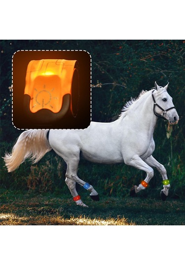 Homyl Açık At Binme Koşu Için Led Ayak Bileği Turuncu Turuncu