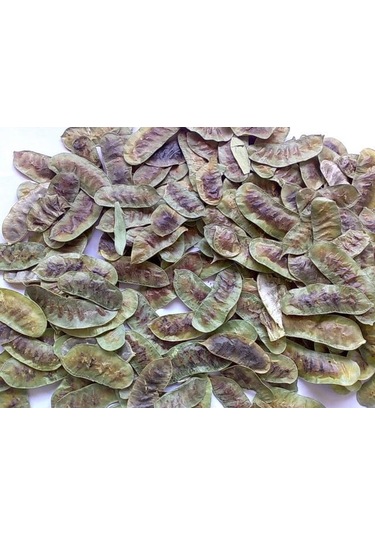 Akdeniz Vitamin Açlık Otu 400 G