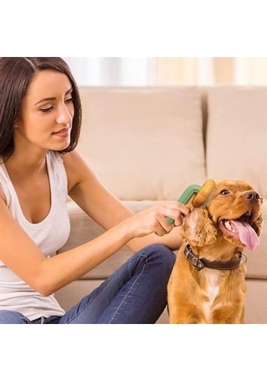 Buffer Plastik Yeşil Evcil Hayvan Bakım Pet Fırçası Çok Amaçlı Pet Fırçası Yeşil Çok Renkli