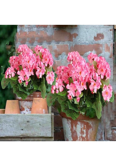 Yapay Çiçek Sardunya Demeti 40 25cm 1.kalite Pembe Balkon Çiçeği