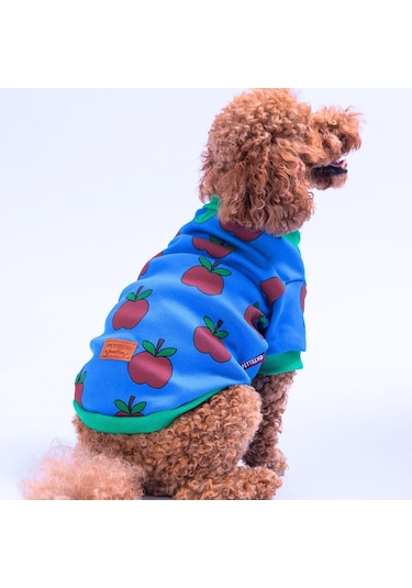Apple Kaşkorse Elma Desenli Sweat Kedi Köpek Sweat Kedi Köpek Kıyafeti