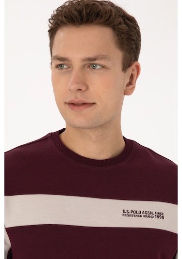 U.s. Polo Assn. Erkek Plum Sweatshirt 50316354-vr177 New Plum