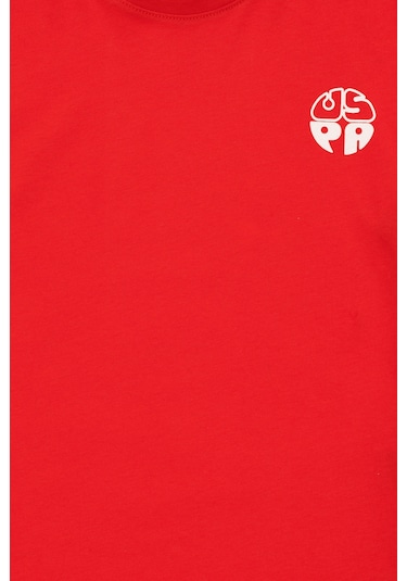 U.s. Polo Assn. Erkek Çocuk Kırmızı Tişört Basic 50295503-vr030 Kırmızı