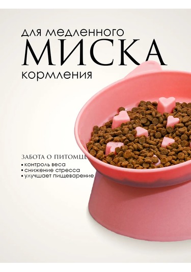 Vektorı Kedi Kabı 391740899