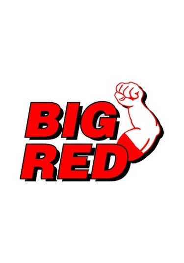 Bıgred T830018d Profesyonel Seri Alçak Arabalı Zemin Kriko 2.5ton