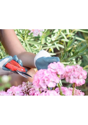 Büro Ev Ofis Yazlık Hobi Bahçesi İçin Bağ Kesme Budama Makası