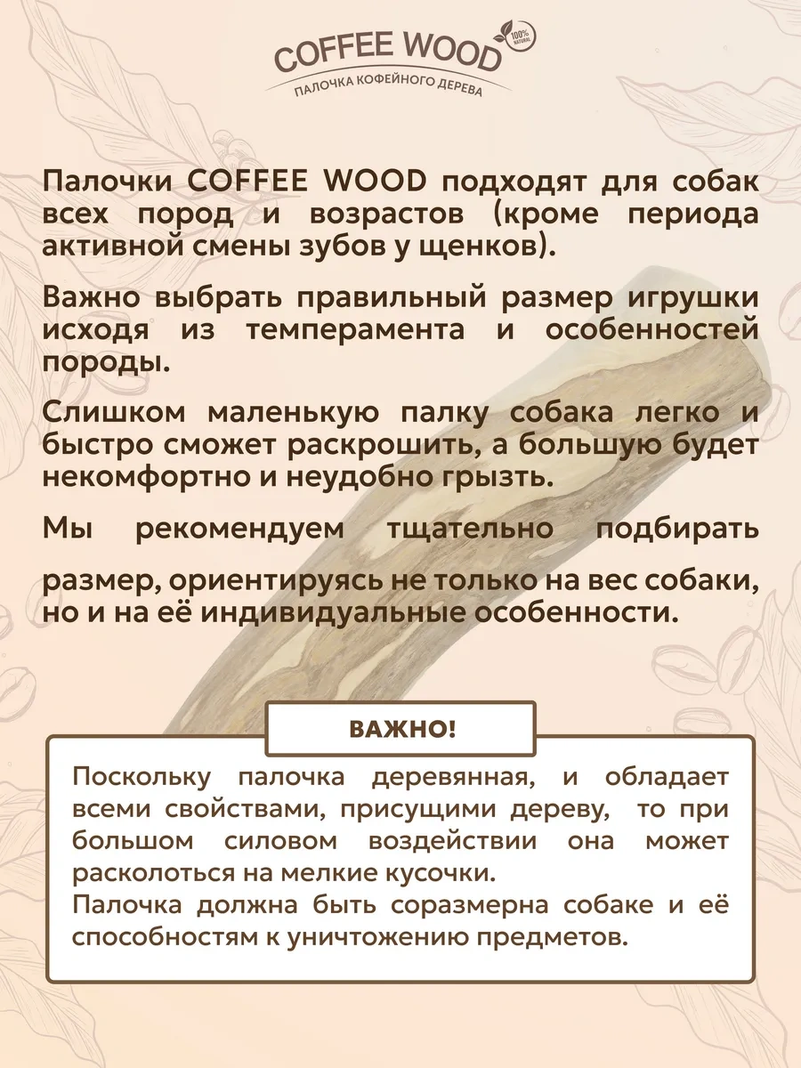 Coffee Wood Kahve Ağacı Çubuğu Xl 103753784