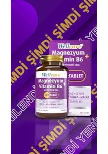 Wellcare Magnesium Vitamin B6 120 Tablet