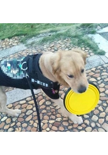Buffer Katlanabilir Kedi Köpek Mama Ve Su Kabı Köpek Oyuncağı