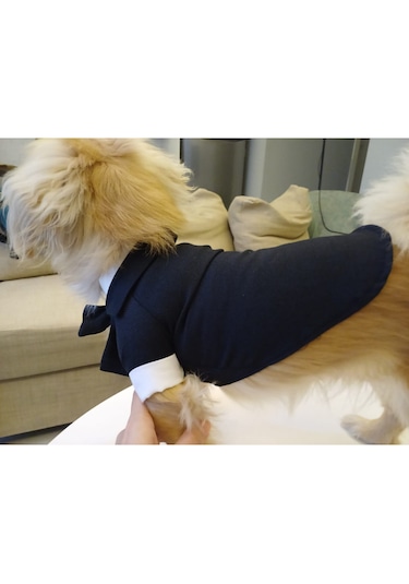 Gobo Papyonlu Smokin Damatlık Kedi Köpek Giyim Takım Elbise