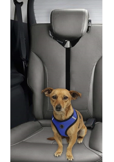 Evcil Hayvan Araç Araba Emniyet Kemeri Kedi Köpek Oto Tasması Koltuk Başlığı