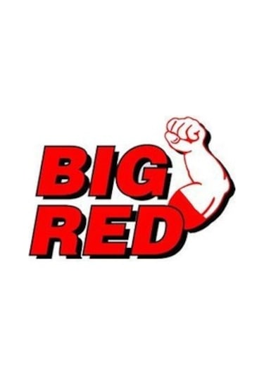 Bigred 2 Ton 4 Ayaklı Kriko Standı Araba Araç Sehpası 2 Adet