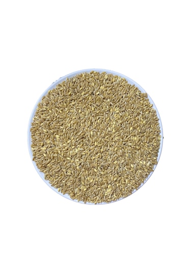 Aktarix Sert Buğday 5 KG