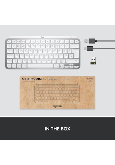 Logitech MX Keys Mini For Business Kablosuz İngilizce Q Klavye