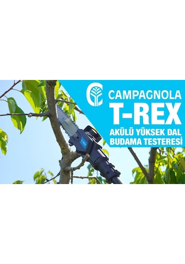 Campaglona T-rex Akülü Teloskopik Yüksek Dal Budama Testeresi