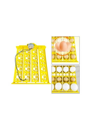 Pazly Yumurta Tavuk Suntek Kuluçka Kaz Için Dc12v Bıldırcın Qz